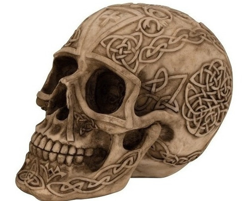 Calavera O Craneo Con Simbologia Celta Skull 