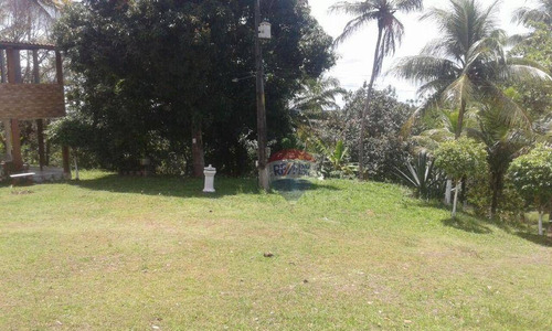 Imagem 7 de 21 de Chácara Com 4 Dormitórios À Venda, 50000 M² Por R$ 1.100.000,00 - Santa Rita - Igarassu/pe - Ch0028
