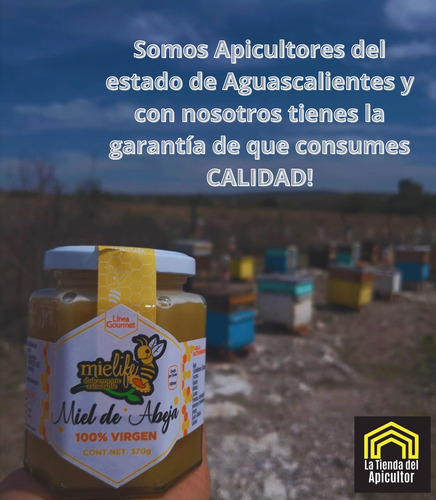 Miel De Abeja Pura 1350 Gr Multifloral Mielife