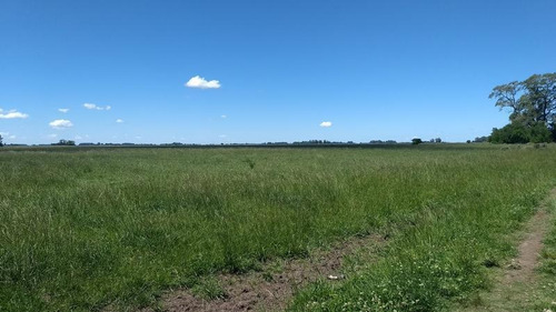Imagen 12 de 16 de Campo Mixto De 280 Has En Venta Con Inmejorable Acceso Sobre Asfalto En Ranchos - Oportunidad !