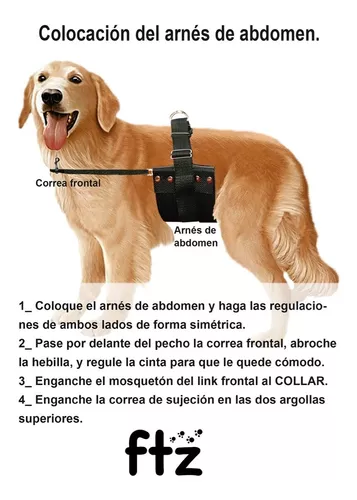 Carritos para perros, una forma segura para pasear a tu fiel amigo