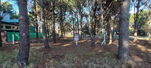 Imagen 2 de 7 de Venta. Lote En Paseo Del Bosque Von Todos Los Servicios