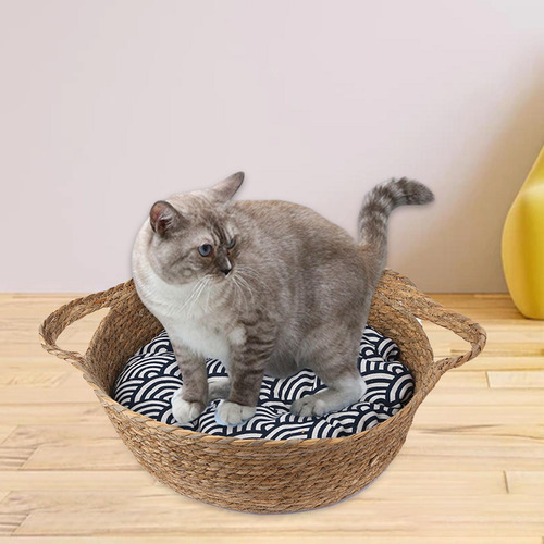 Pequeño Perro Gato Casa Diámetro 40 Cm Altura 14 Cm