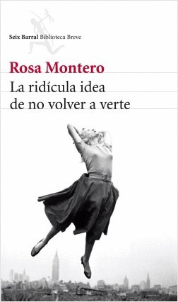 Libro La Ridícula Idea De No Volver A Verte