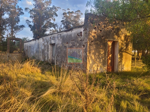Imagen 11 de 23 de Chacra 10has Con Casa En José Ignacio