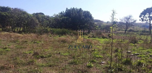 Área À Venda, 70000 M² Por R$ 21.000.000,00 - Jardim Do Triunfo - Guarulhos/sp - Ar0193