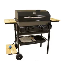 Comprar Parrilla Isi Dual A Gas Parrilla Horno Pizzero Selectogar