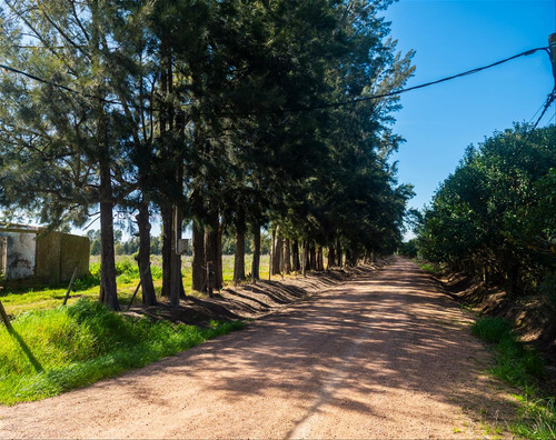 Venta Chacra 28 Ha Abayuba Arroyo Y 2 Tajamares C.rigel