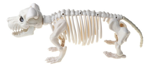 Ornamentos De Festa Temáticos De Halloween Cachorro Esquelet