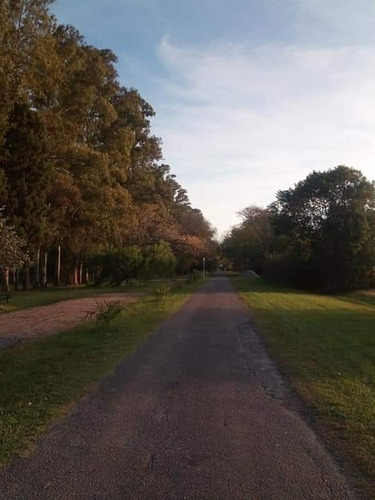 Oportunidad Brisas Del Sud Lotes20x30 Tomo Vehículo