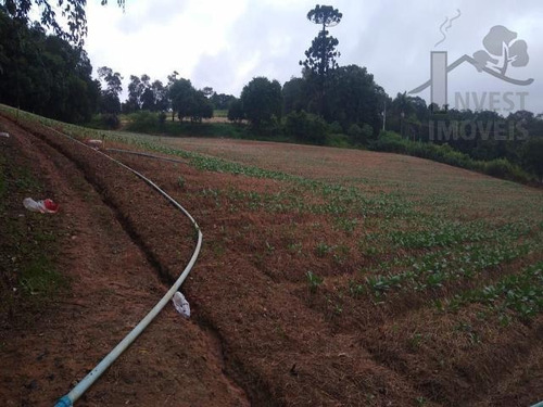 Imagem 12 de 14 de Cod 5971 - Linda Área Do Lado Da Estrada Vicinal - 5971