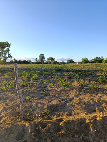 Terreno 1000m2 Residencial Florida