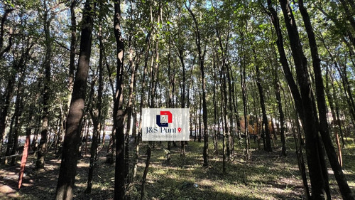 Lote En Villa Catalina