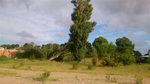 Imagen 3 de 4 de Terreno En Venta En Ostende