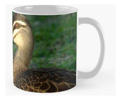 Taza Pato Marrón - Lado Derecho Calidad Premium