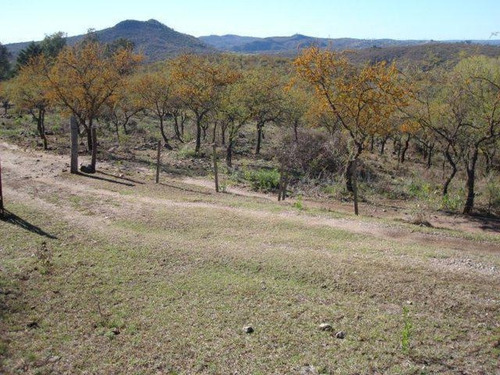Lote Con Escritura - Financiado 12 Cuotas - Villa Del Dique - Cordoba