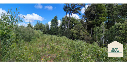 Parcela Condomio Los Aromos (torobayo) Valdivia