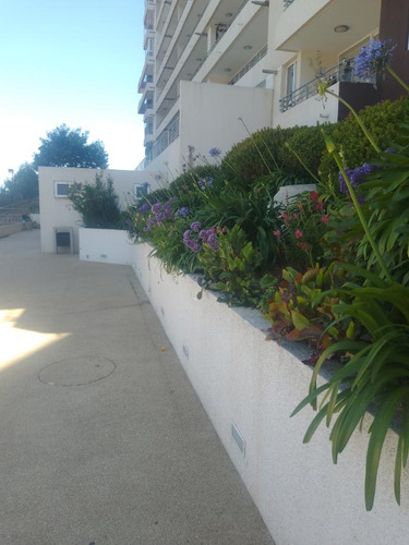 Diseño Construcción Y Mantenimiento Jardines