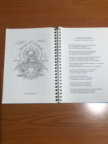 La Nueva Esencia Del Vajrayana Gueshe Kelsang G. Rimpoché (Usado)