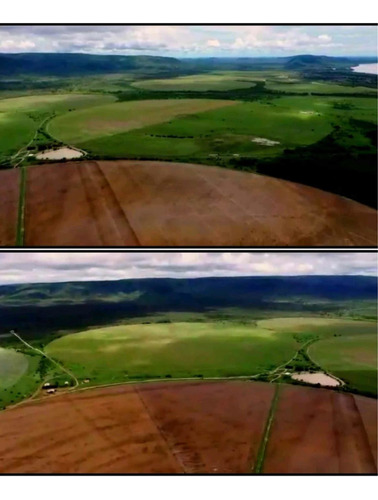 Imagem 4 de 6 de Fazenda Com Frigorífico Estado Da Bahia