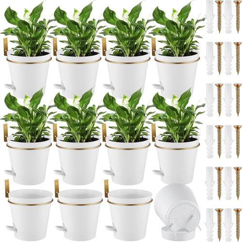 12 Sets Plantadores De Pared Para Plantas De Interior De 6 P