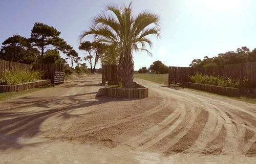 Imagen 1 de 6 de Venta Lote- Pinar Del Faro (playa Brava)- José Ignacio-uruguay
