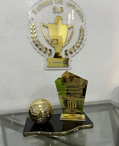 Reconocimiento Trofeo De Deportes/empresarial