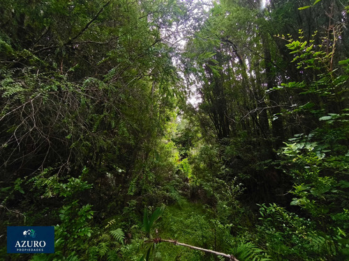 Remate 1 Há Costa De Rio, Lago Chapo. Pm. (169510)