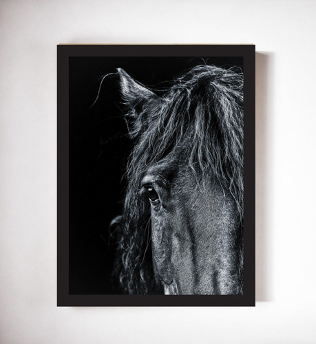 Cuadro Modernos Caballo Negro Marco Y Vidrio Incluido 30x40