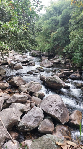 Terreno Próximo À Cachoeira Com Vista Para O Parque Nacional