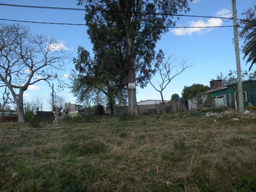 Vendo Terreno Sobre Esquina En Lugar Alto Ideal P/construir Vivienda O Galpon - Calle De Asfalto - 094 386 264 - 361 M2