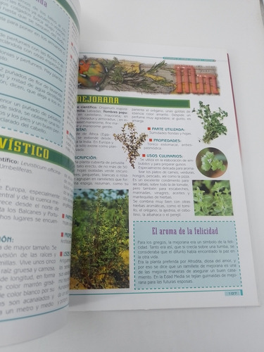 Saborizantes Y Saludables Las Hierbas Aromáticas Barone (Usado)