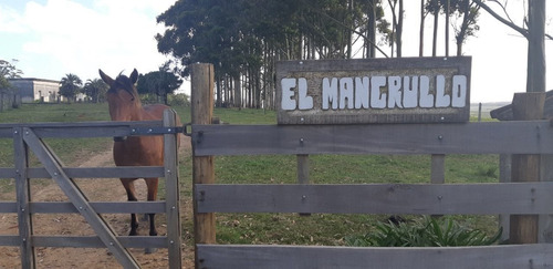 Imagen 3 de 9 de Campo En Venta En Rocha