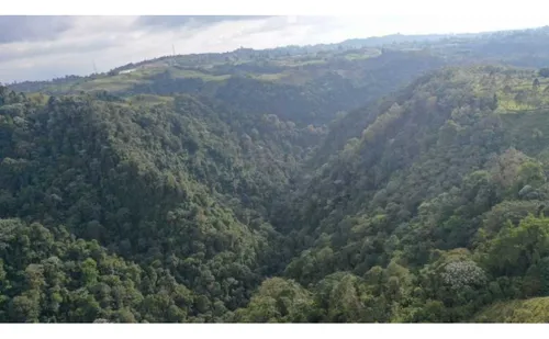 Finca Ganadera Con Espectacular Vista A La Reserva De Barbas