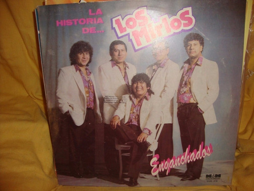 Vinilo Los Mirlos La Historia Enganchados 10 Puntos C3