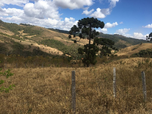 Imagem 12 de 24 de Chácara À Venda, 2800 M² Por R$ 80.000 - Zona Rural - Caldas/mg - Ch0126