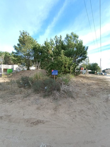 Imagen 2 de 8 de Terreno En Venta De 995m2 Ubicado En San Bernardo