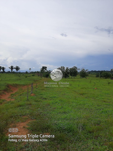 Imagem 4 de 11 de Venda Sítio Vale Do Anari Em Rondônia - Sig309