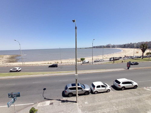 Imagen 1 de 18 de Apartamento - Rambla Y Pereira De La Luz, 200 M2 , Gge * 2 , Box , Reciclado !!