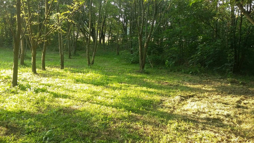 Imagen 6 de 14 de Hectarea En Venta