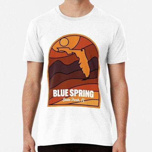 Remera Blue Springs State Park Florida Algodon Premium 