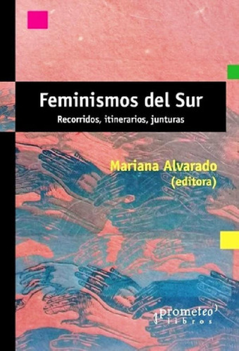 Libro - Feminismos Del Sur - Alvarado, Mariana