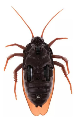 Divertida Simulación Animal Cucaracha Control Remoto /&z