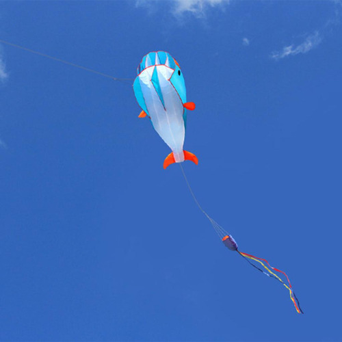 Del Delfín Del Parafoil Enorme De La Cometa 3d For Azul