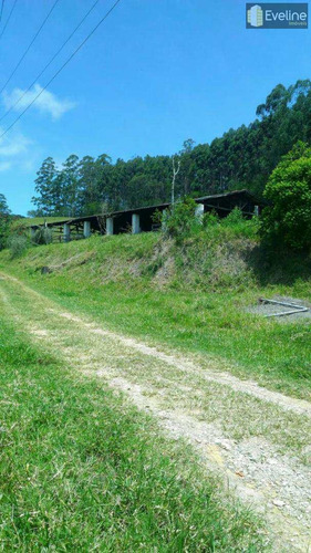 Imagem 6 de 14 de Fazenda Com 2 Dorms, Cézar De Souza, Mogi Das Cruzes - R$ 2 Mi, Cod: 722 - V722