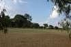 Imagem 8 de 10 de Fazenda Rural À Venda, Caiacatinga, Porto Feliz. - Fa0002