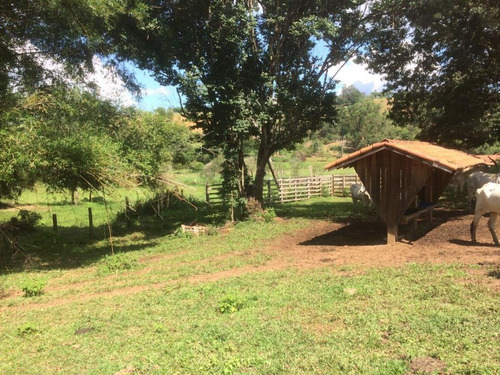 Imagem 14 de 30 de Fazenda - Município Cambuí-mg - Fa0050