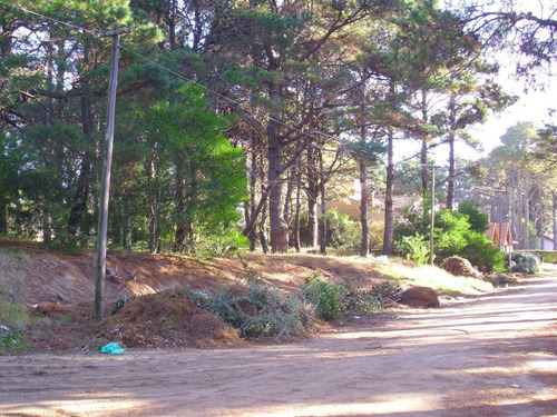 Imagen 2 de 6 de Lote En Venta - Zona Bosque / Ref: 1388