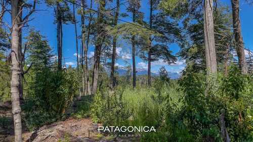 Venta Lote De 1506m2 Con Planos Aprobados De 160m2. Altos De Manzano Villa La Angostura