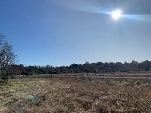 Sitio En Venta En Frutillar